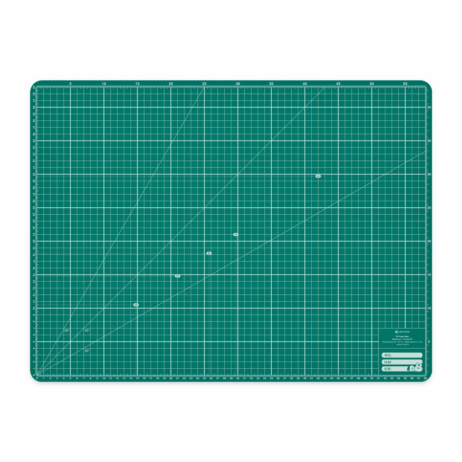 PP 格線桌墊 60×45 cm（1.5 mm）校園版｜LC-6612C
