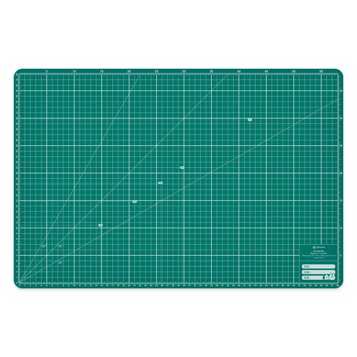 PP 格線桌墊 60×40 cm（1.5 mm）校園版｜LC-6611C